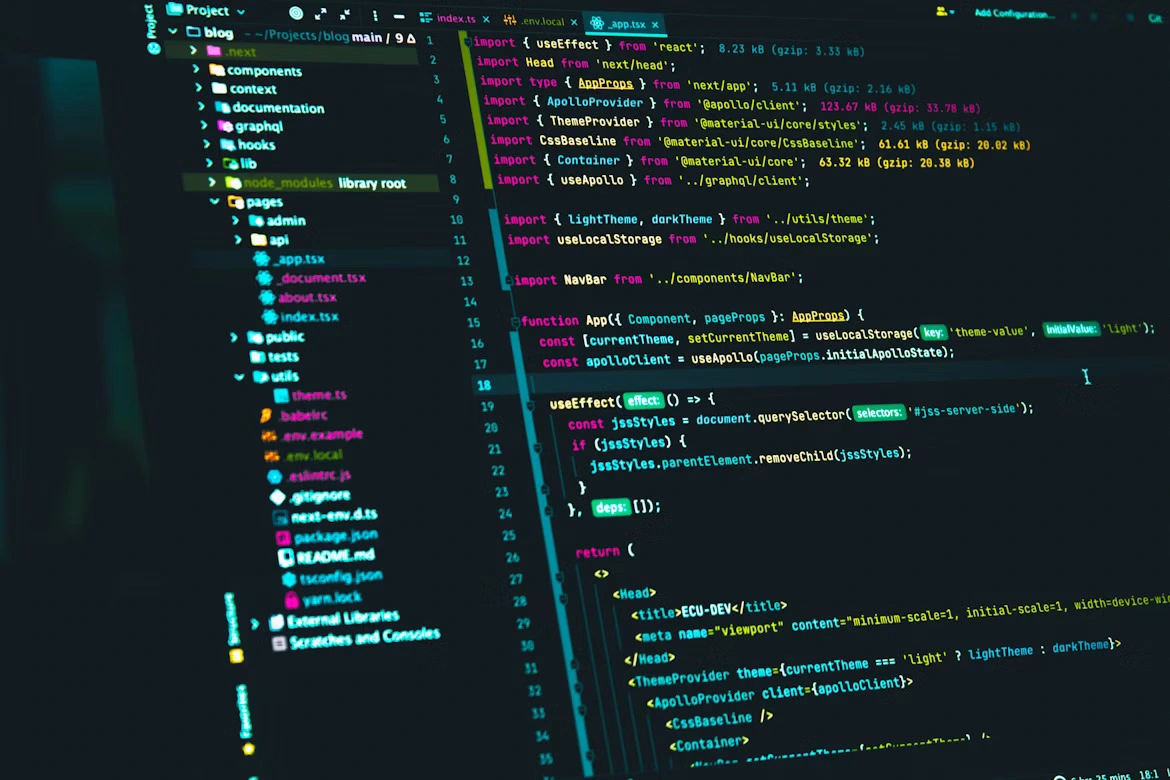 Desarrollador de Software